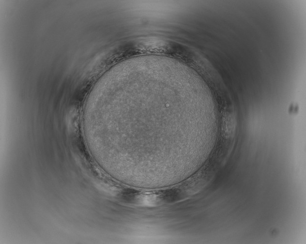 X0000111780701200907301121