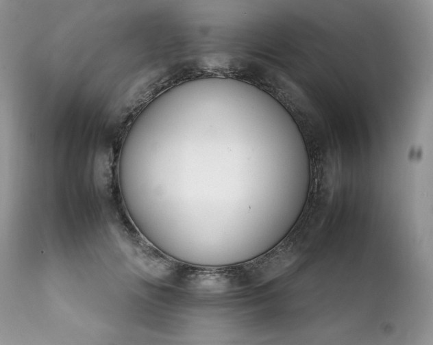 X0000111780702200907301121