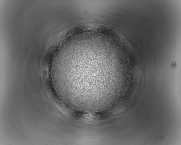 X0000111780703200907301121