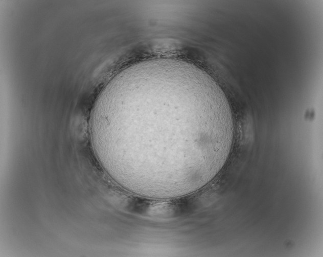 X0000111780705200907301121
