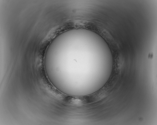 X0000111780706200907301121