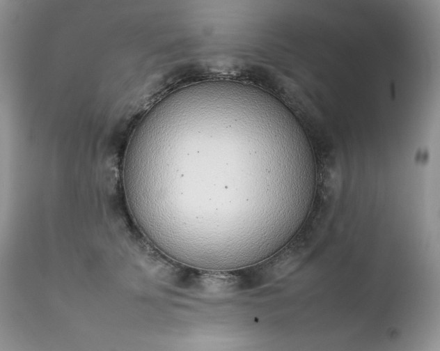 X0000111780707200907301121