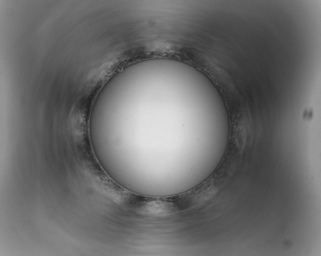 X0000111780708200907301121