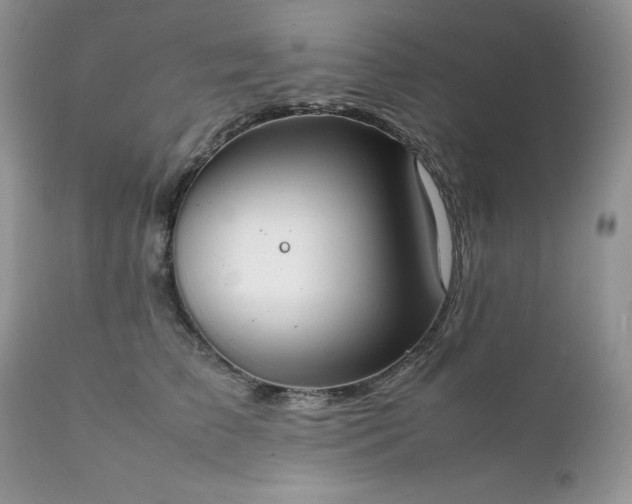 X0000111780709200907301121