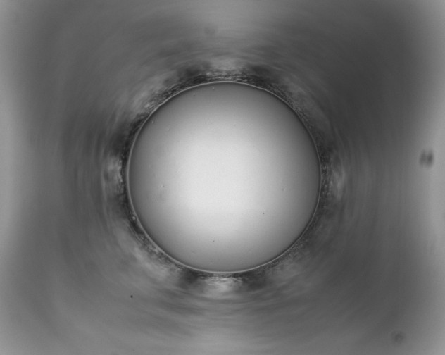 X0000111780711200907301121