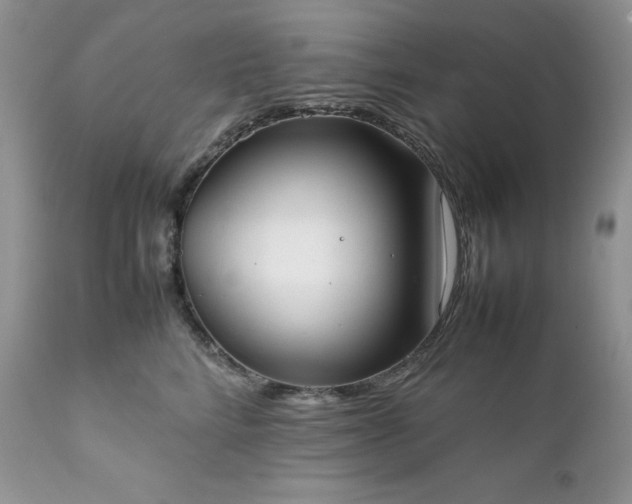 X0000111780712200907301121