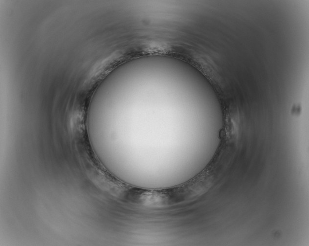 X0000111780714200907301121