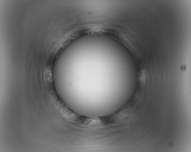 X0000111780715200907301121