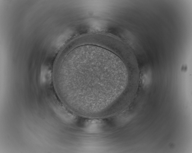 X0000111780716200907301121