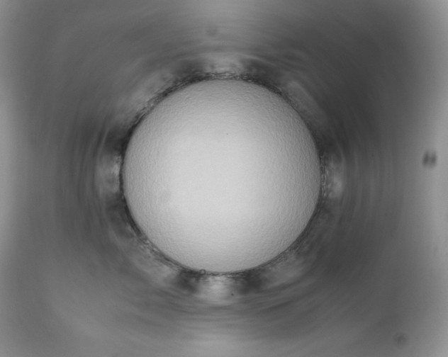 X0000111780717200907301121
