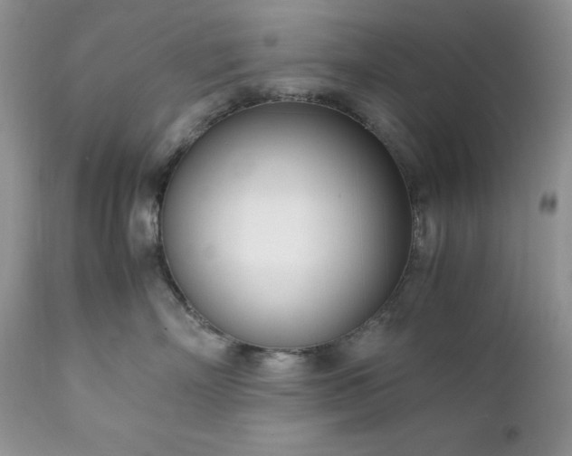 X0000111780718200907301121