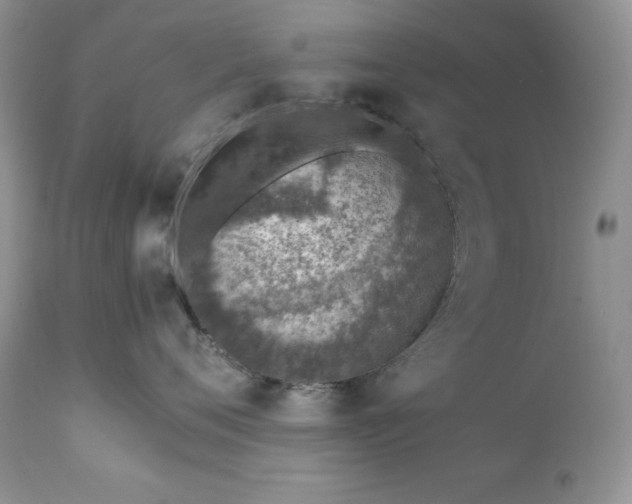 X0000111780720200907301121