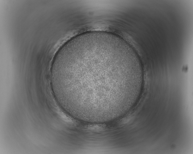 X0000111780721200907301120