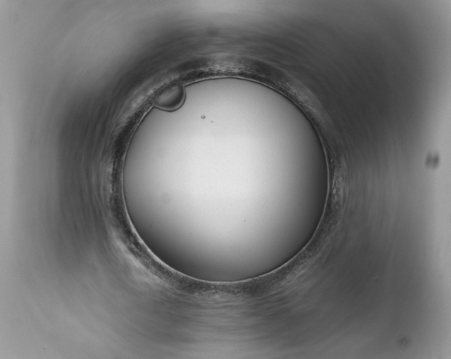 X0000111780722200907301120