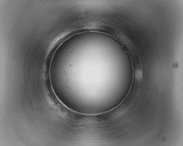 X0000111780724200907301120