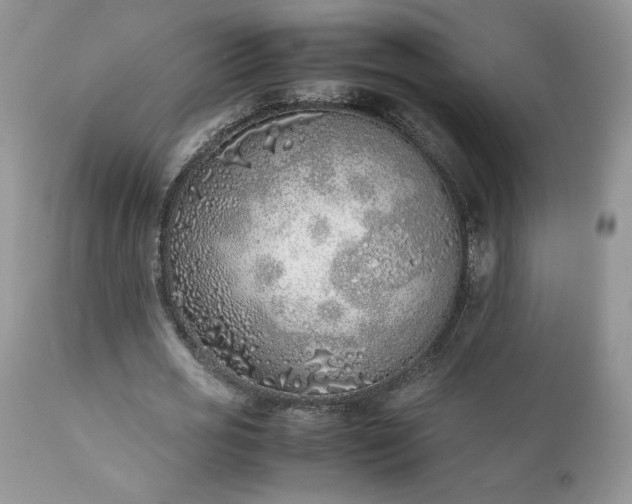 X0000111780725200907301120