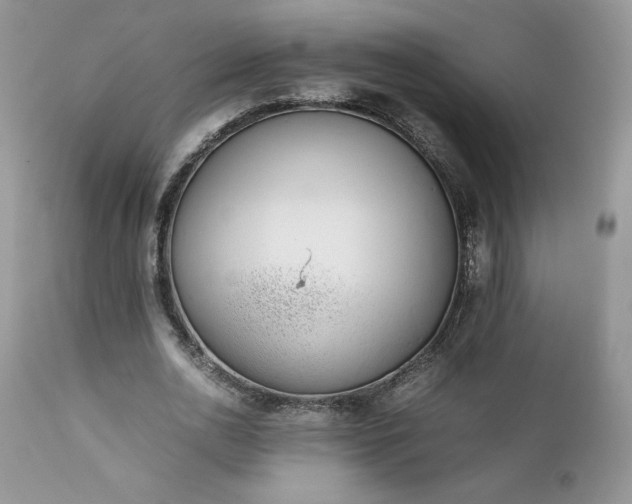 X0000111780726200907301120