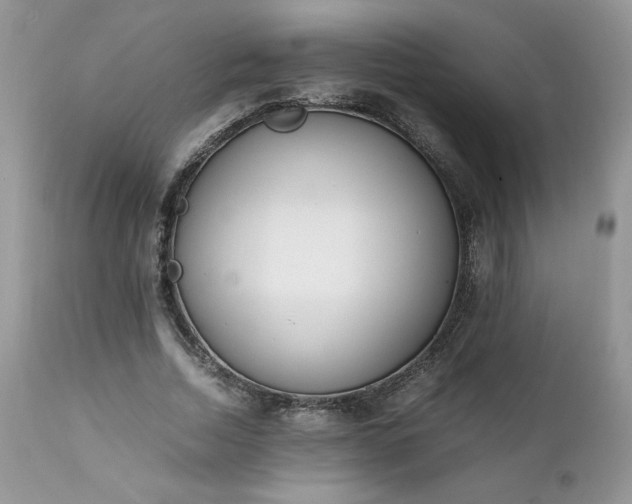 X0000111780730200907301120