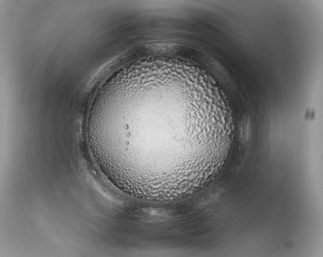 X0000111780733200907301120