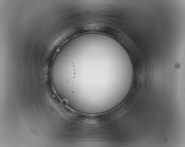 X0000111780735200907301120
