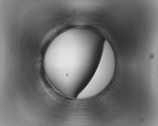 X0000111780736200907301120