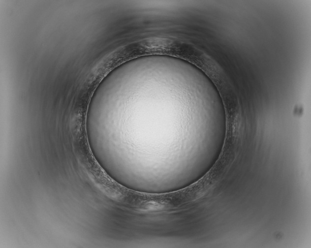 X0000111780737200907301120
