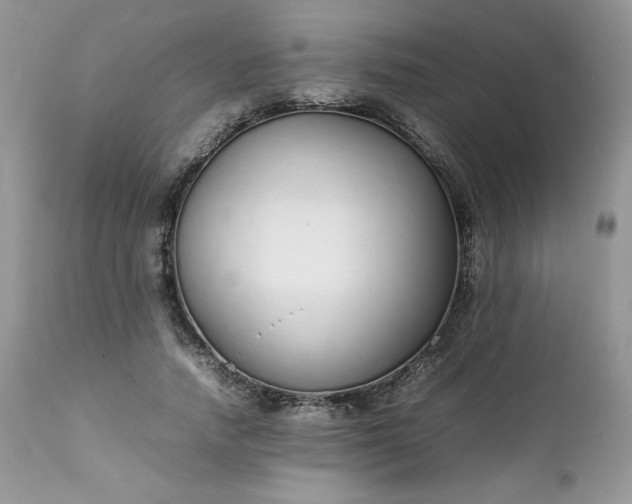 X0000111780738200907301120