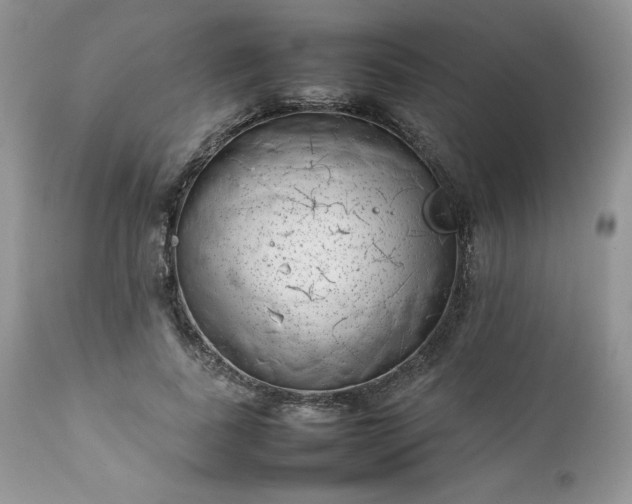X0000111780739200907301120
