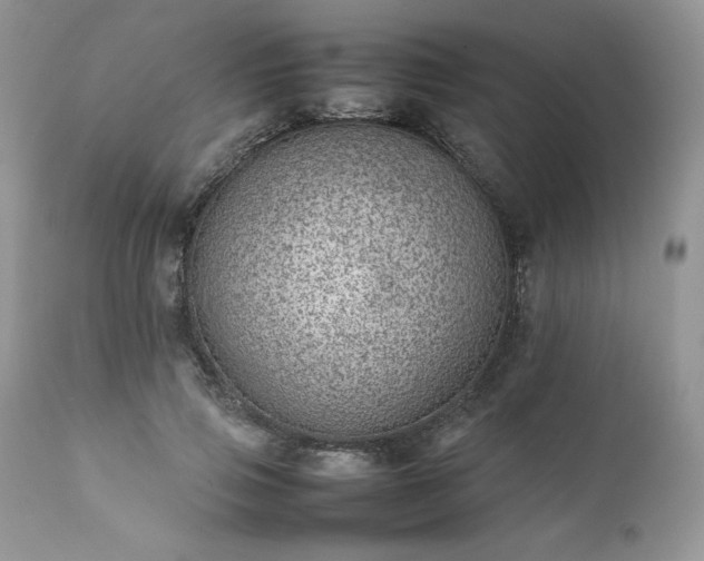 X0000111780741200907301120