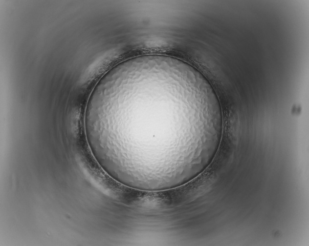 X0000111780742200907301120