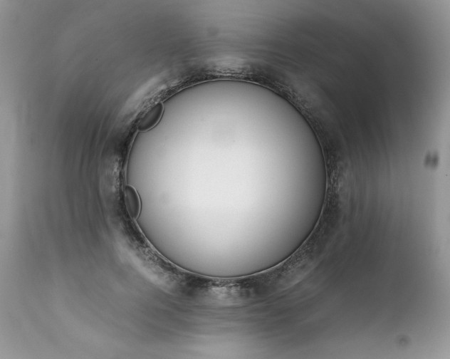X0000111780744200907301120