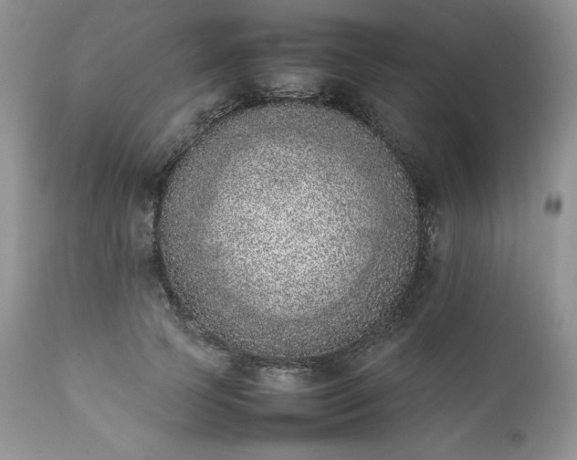 X0000111780745200907301120