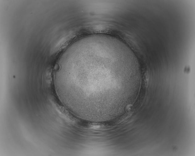 X0000111780746200907301120