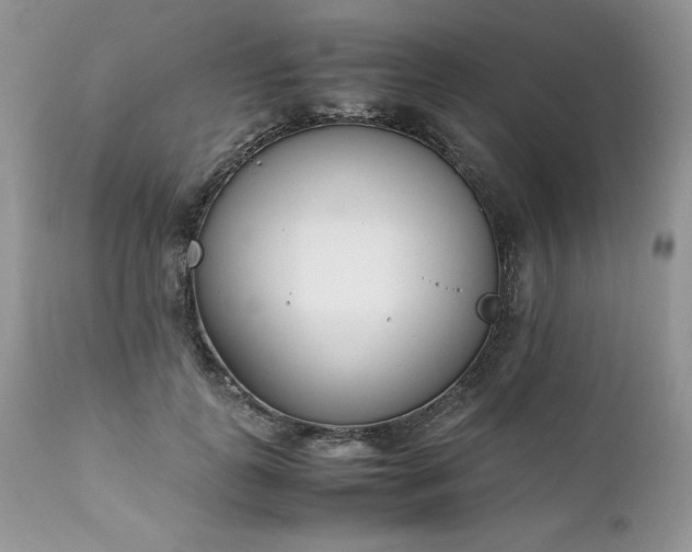 X0000111780747200907301120
