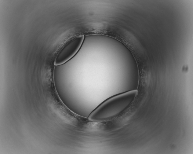X0000111780748200907301120