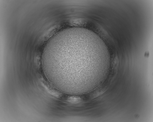 X0000111780749200907301120