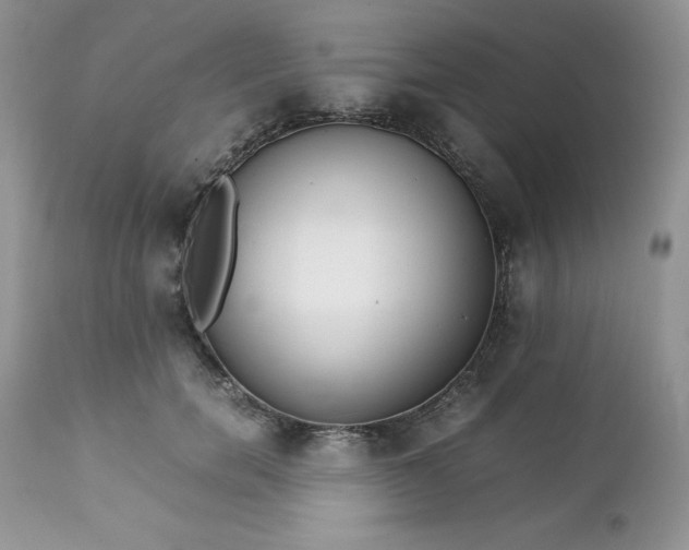 X0000111780750200907301120