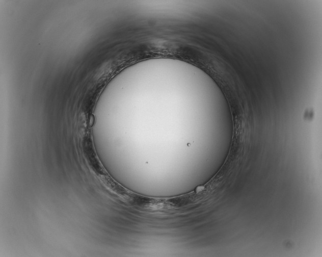 X0000111780752200907301120