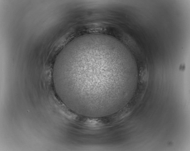 X0000111780753200907301120