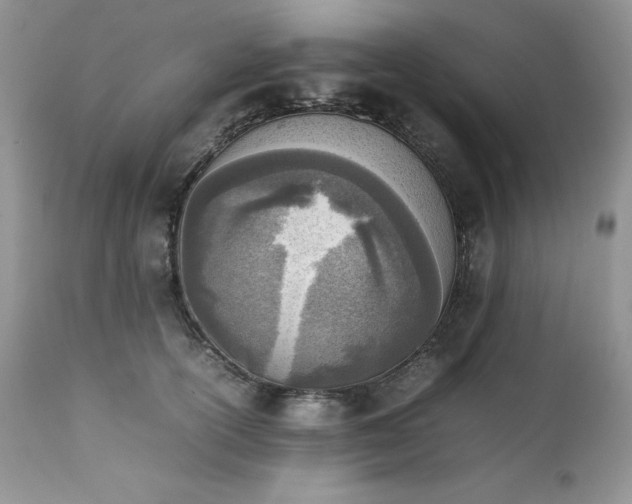 X0000111780754200907301120