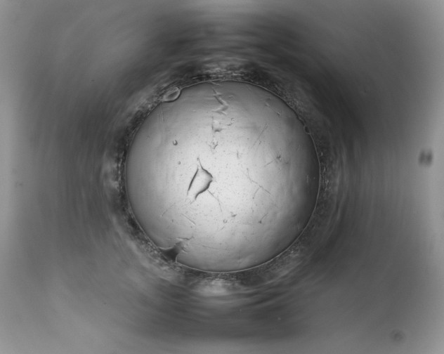 X0000111780755200907301120