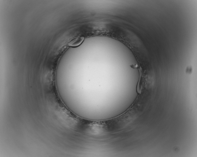 X0000111780756200907301120