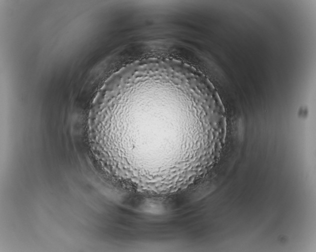 X0000111780757200907301120