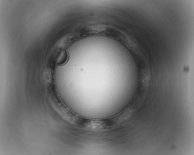 X0000111780758200907301120