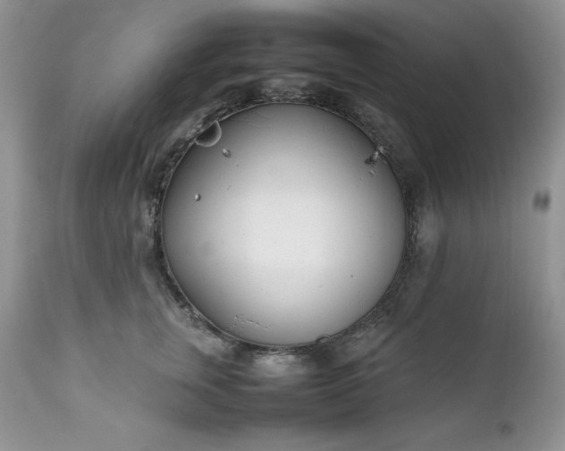 X0000111780759200907301120