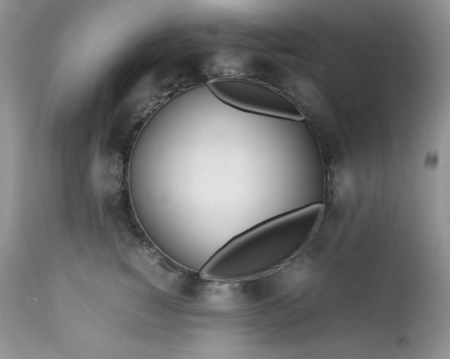 X0000111780760200907301120