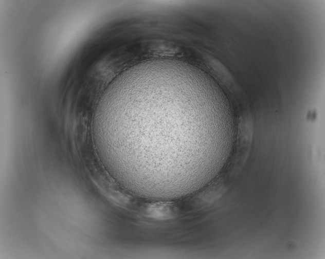 X0000111780761200907301120
