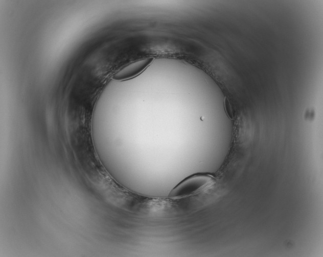 X0000111780762200907301120