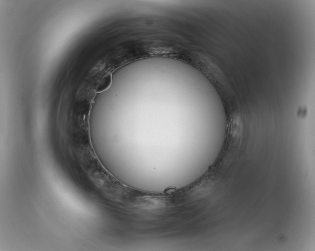 X0000111780763200907301120