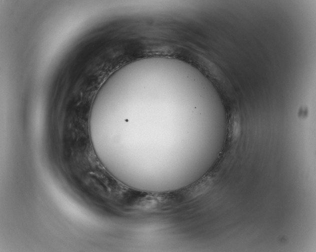 X0000111780764200907301120